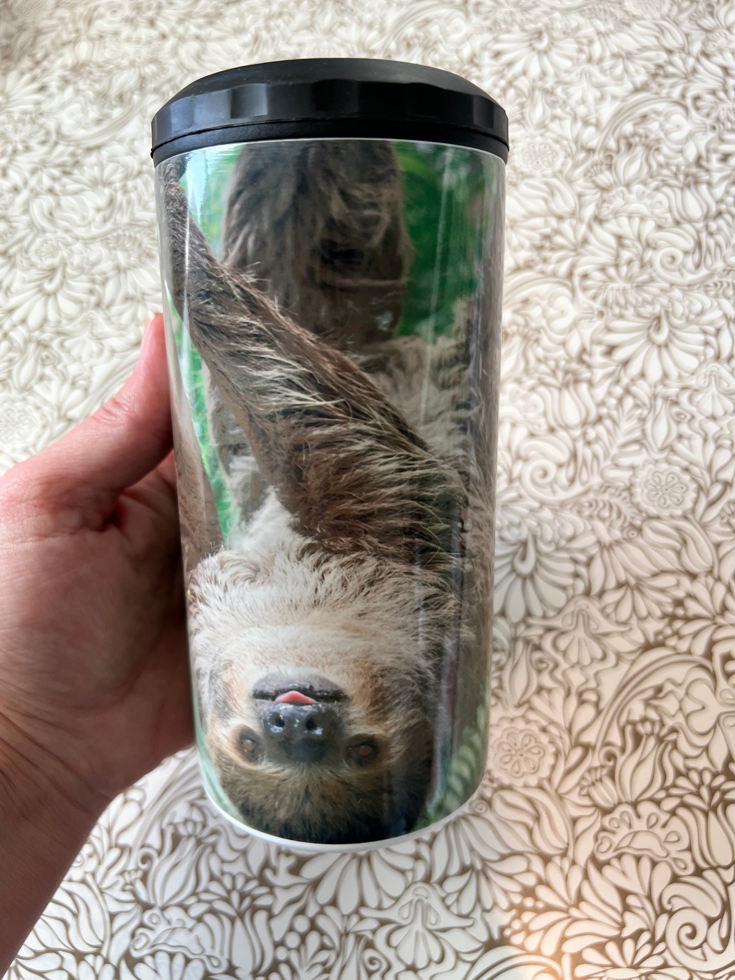 Ready to Ship! 4 in 1 Sloth Sublimation Can Cooler - Ladybug Designs, DIY Lifestyle